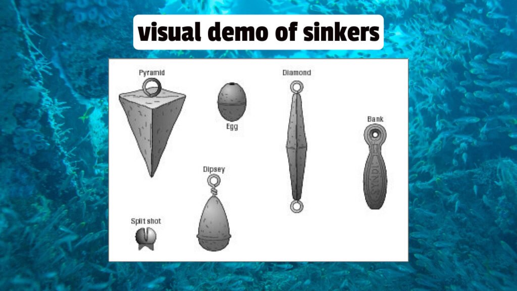 Different Types of Fishing Sinkers