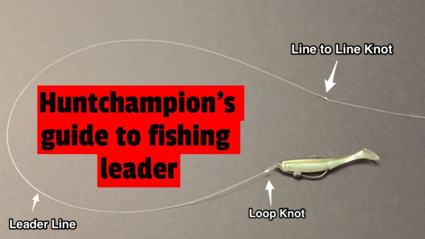 What is fishing leader?